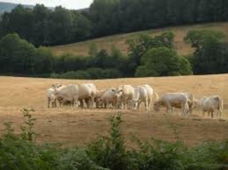 La Ferme Des Pierrettes Villa Menneville Dış mekan fotoğraf